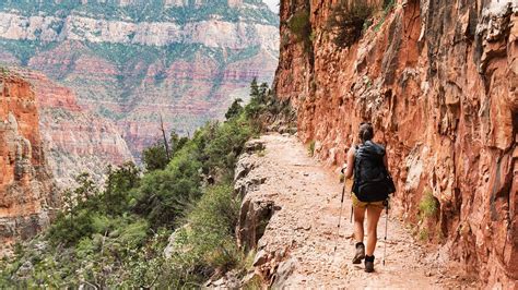 Grand Canyon Park Rangers have reportedly received numerous letters and returned items from travelers who visited the canyon. . Grand canyon path to africa conspiracy